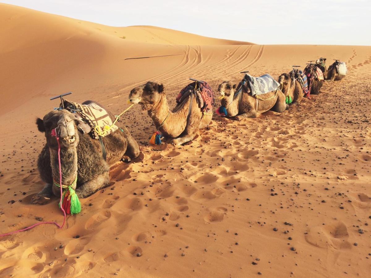 Sahara Stories Camp " Heated Tents" เมอร์ซูกา ภายนอก รูปภาพ
